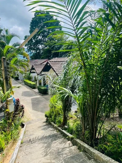 Mountain View House for Rent | Prime Hill Kathu | Pet Friendly view 30
