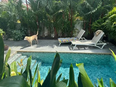 Private Pool House for Rent – Anuphas Golf View, Kathu view 23